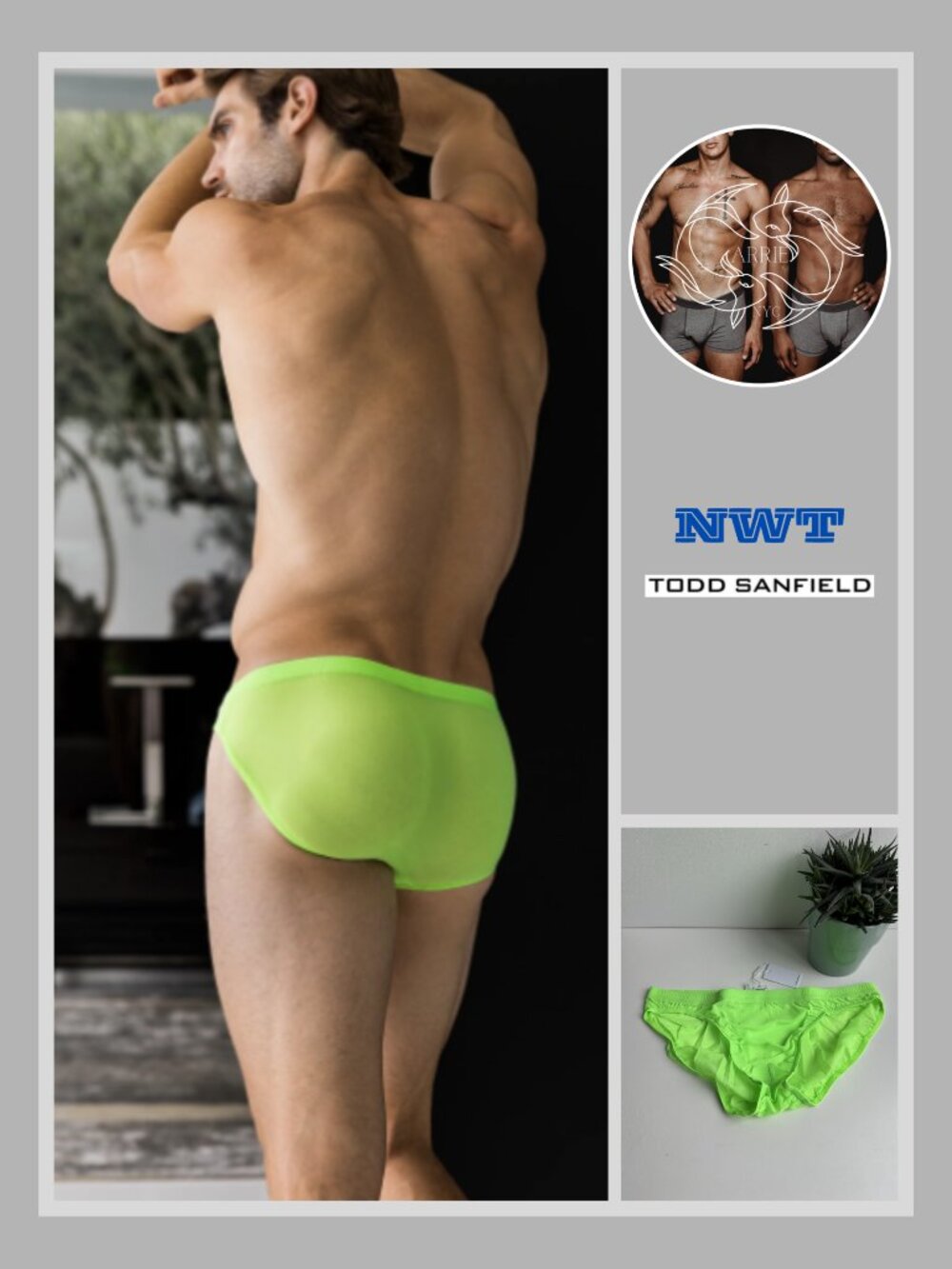 Todd Sanfield - Minimal Mesh Bikini Brief - Chlorophyll Green (L)